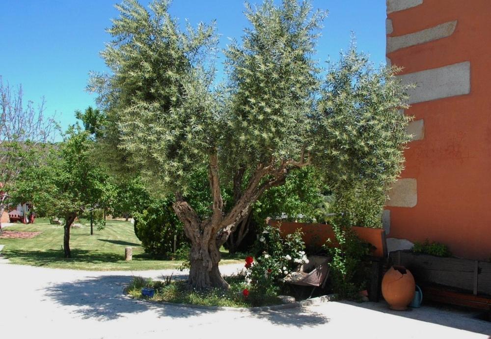Posada Tresmentiras Aldeanueva del Camino Ngoại thất bức ảnh